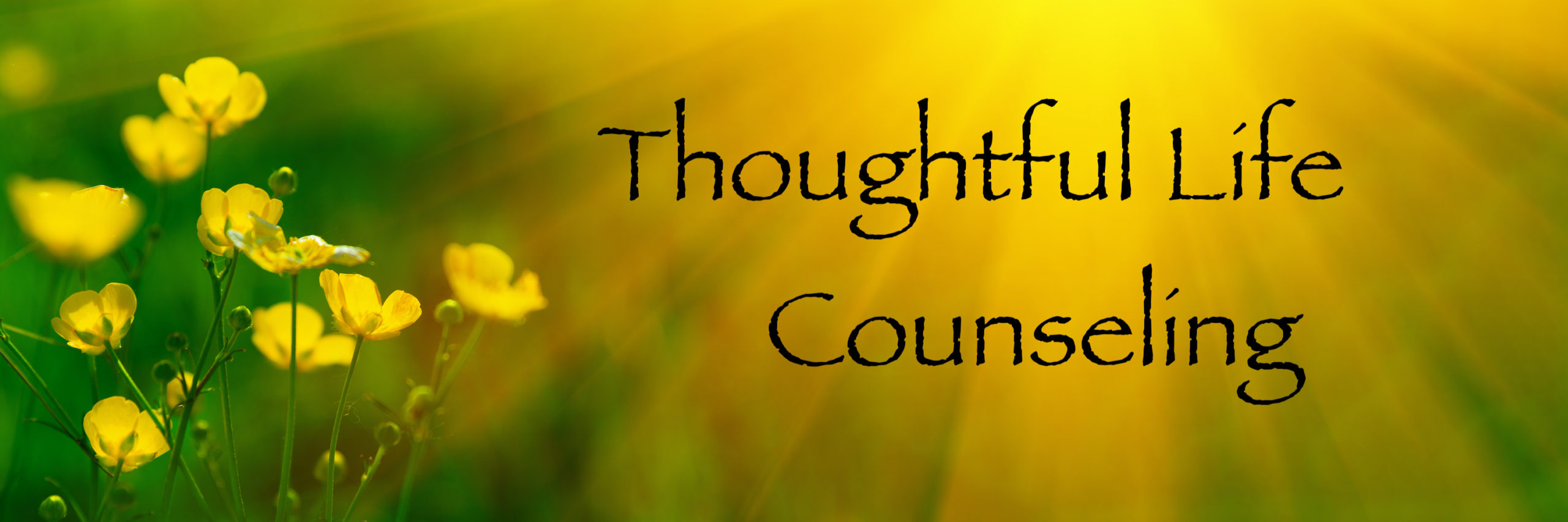 Thoughtful Life Counseling LLC